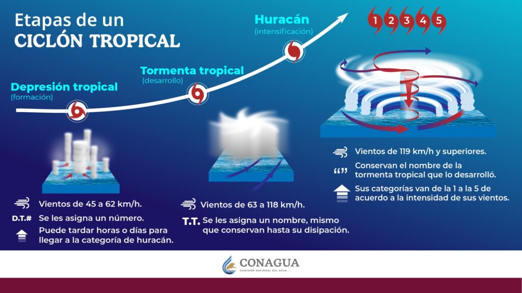 Etapas del ciclon